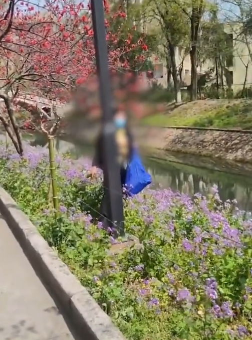 大妈进校园挖菜 疑采走学生毕业材料:网友义愤填膺